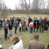 2011_bacsa_2