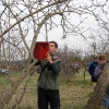 2011_bacsa_5