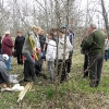 2011_bacsa_8