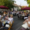 2011_gyarv_csal_du_12