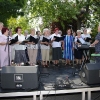 2011_gyarv_csal_du_1