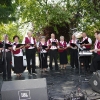 2011_gyarv_csal_du_2