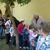 2011_gyarv_nap_12
